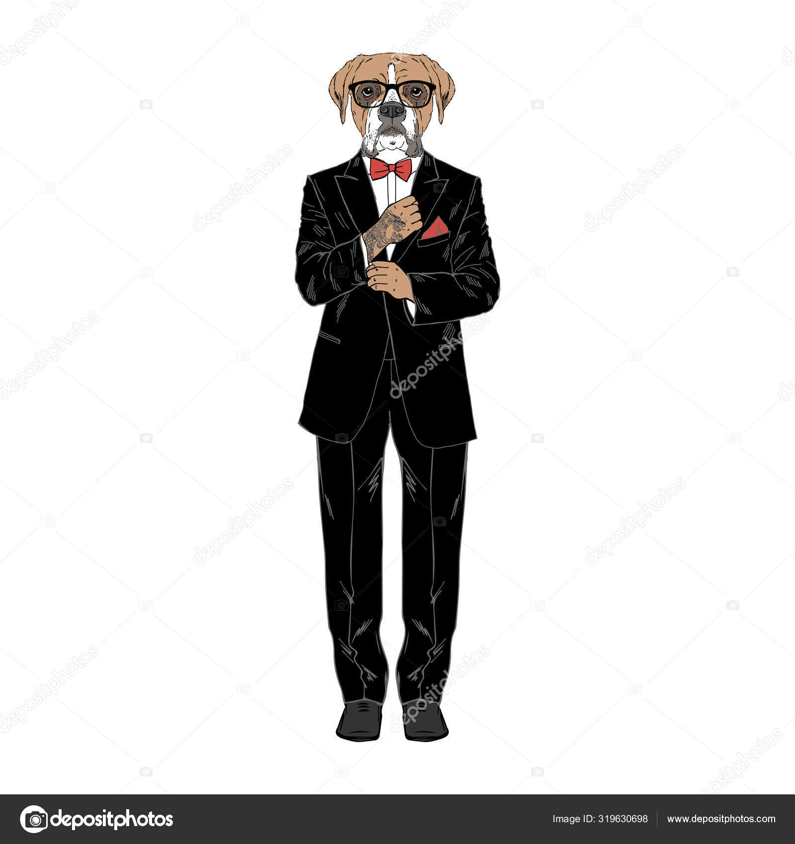 Humanized boxer breed dog with tattoo dressed up in classy outfits. Stock  Vector Image by © #319630698