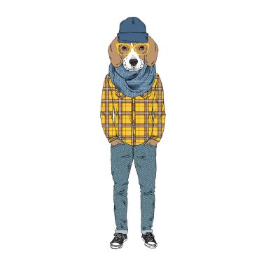 Beagle soyu Hipster illüstrasyonu.