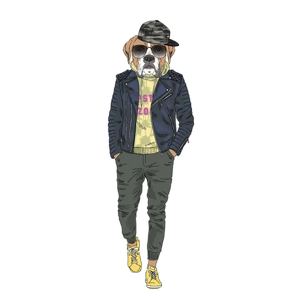 Boxer fajta Hipster illusztráció. — Stock Vector