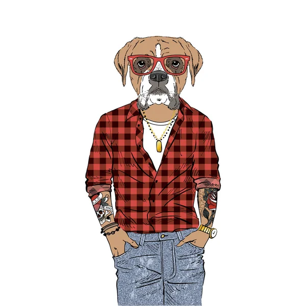 Boxer ras Hipster illustration. — Stock vektor