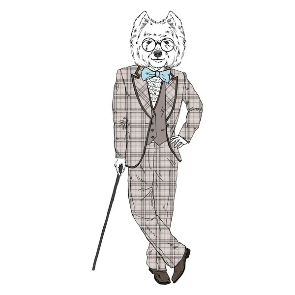 Гуманизированная белая терьерская собака Западного Хайленда, одетая в винтажные костюмы . — стоковый вектор