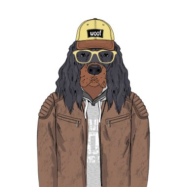 Gordon Setter hippi portresi üretiyor.