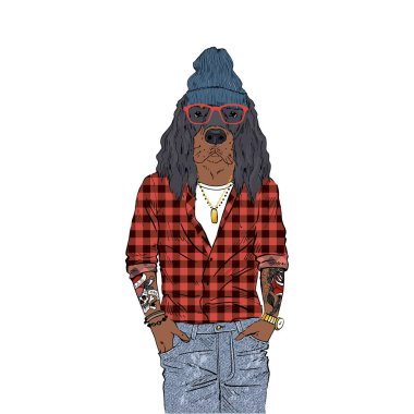 Gordon Setter 'ın hippi çizimi.