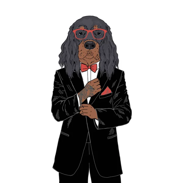 Humanizado Gordon Setter raza perro con tatuaje disfrazado en trajes con clase . — Vector de stock