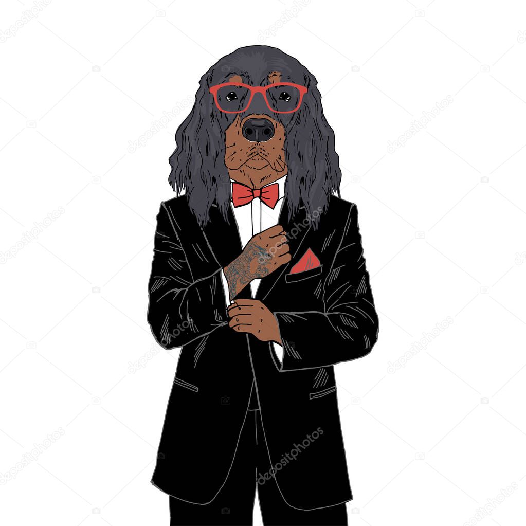 Humanized Gordon Setter breed dog with tattoo dressed up in classy outfits.