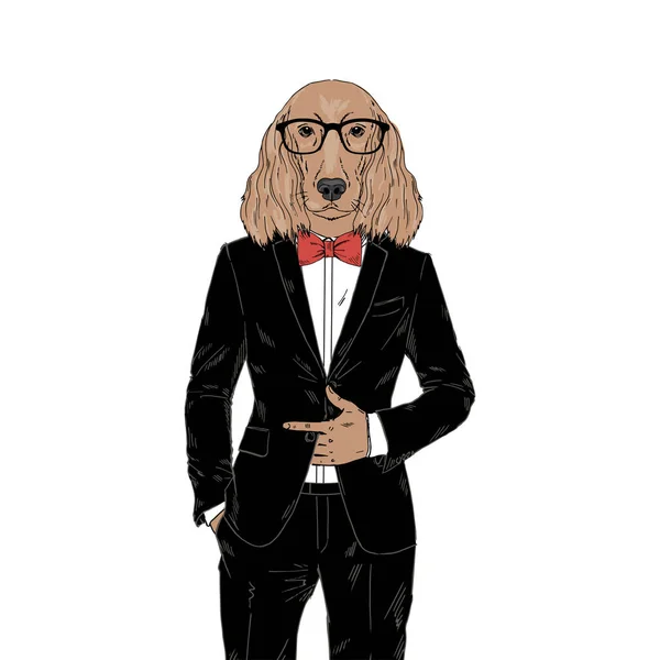 Humanized Irish Setter ras hond gekleed in stijlvolle outfits. — Stockvector