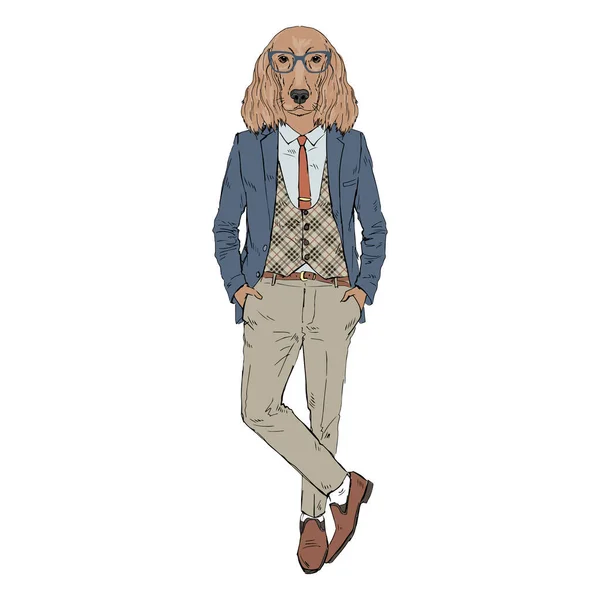 Humaniserad Irish Setter rasen hund klädd i retro kläder. — Stock vektor