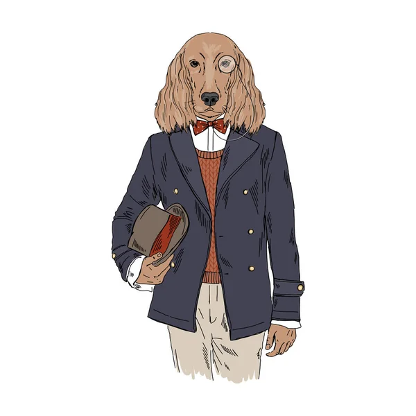 Humanizado Irish Setter raça cão vestido com roupas vintage . —  Vetores de Stock