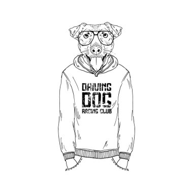 Jagdterrier, Alman av teriyeri hippi çizimi..