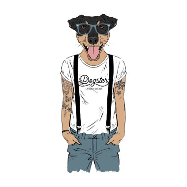 Jagdterrier, Alman av teriyeri hippi çizimi..