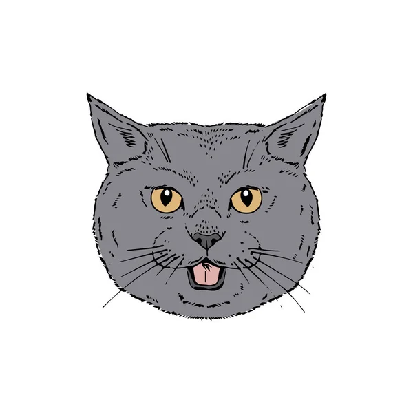 Symmetrical Vector portrait illustration of cat. — Stock Vector