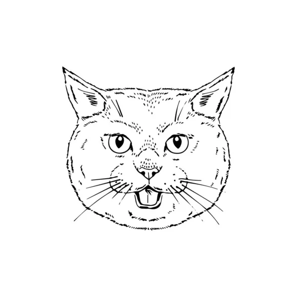 Retrato vectorial simétrico ilustración de gato . — Vector de stock