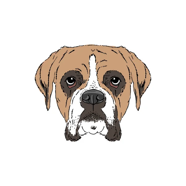 Ilustración simétrica del retrato vectorial del perro boxeador — Vector de stock