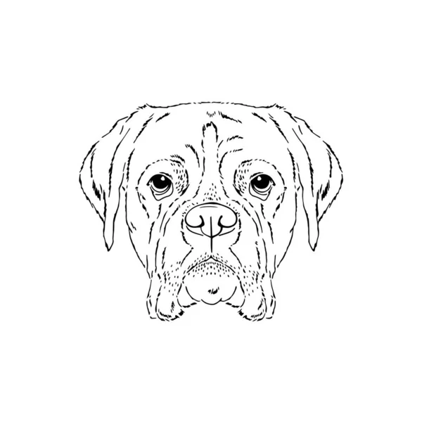 Симетрична Векторна портретна ілюстрація Боксерської собаки — стоковий вектор