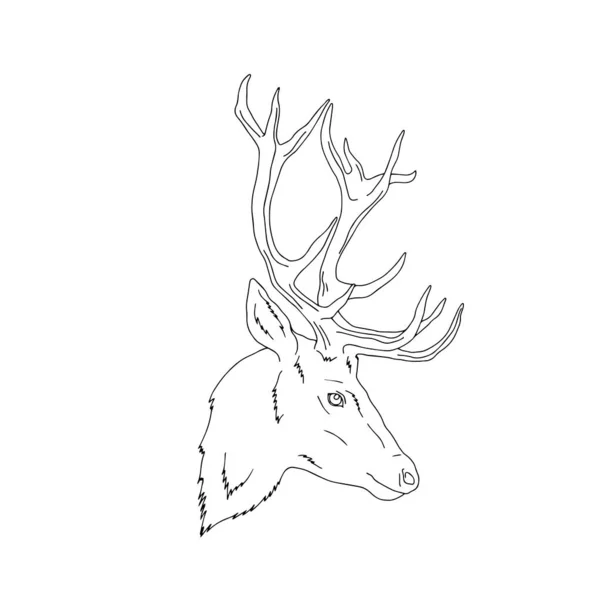 Vector profile portrait illustration of deer forest animal — Stock Vector