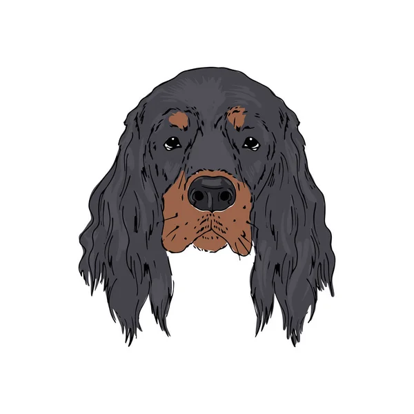 Symmetrischer Vektor Portrait Illustration von Gordon Setter Hund — Stockvektor