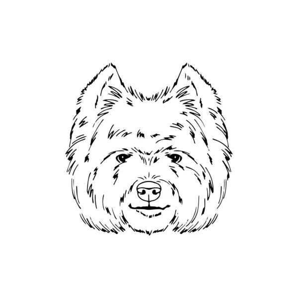 Symmetrical Vector portrait illustration of West Highland white terrier dog — Stock Vector