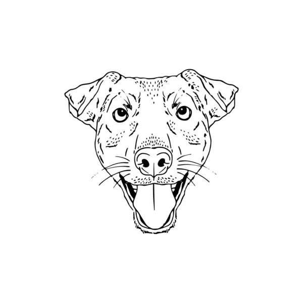 Symmetrical Vector portrait illustration of Jagdterrier dog — Stock Vector