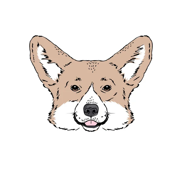 Illustration vectorielle symétrique du chien Corgi gallois — Image vectorielle