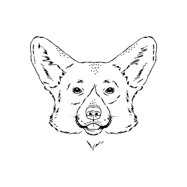 Symmetrical Vector portrait illustration of Welsh Corgi dog — Stock Vector