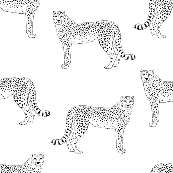 Cheetah dibujado a mano patrón sin costura . — Vector de stock