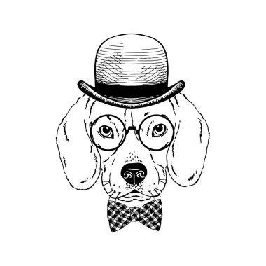 Av köpeği gözlük takıyor, ekose kravat takıyor, beyaz arka planda yalıtılmış melon şapka takıyor.