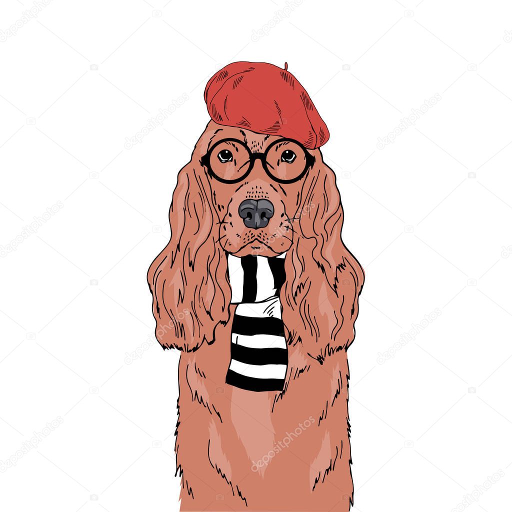 English Cocker Spaniel breed dog wear round glasses, stripy scarf, red french beret isolated on white background