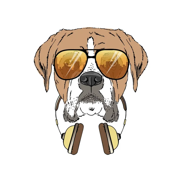 Boxer breed dog wear sunglasses, headphones isolated on white background — Stock Vector