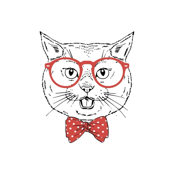 Británico taquigrafía raza gato usar rojo gafas, lazo arco aislado en blanco fondo — Vector de stock