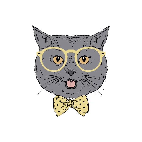 British shorthair breed cat wear glasses, tie bow isolated on white background — Stock Vector