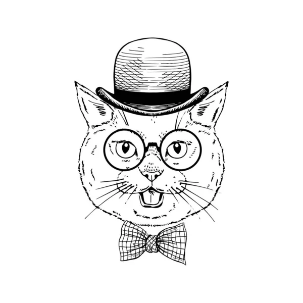 Británica taquigrafía gato desgaste vintage bowler sombrero, corbata a cuadros arco, gafas redondas aisladas sobre fondo blanco — Vector de stock