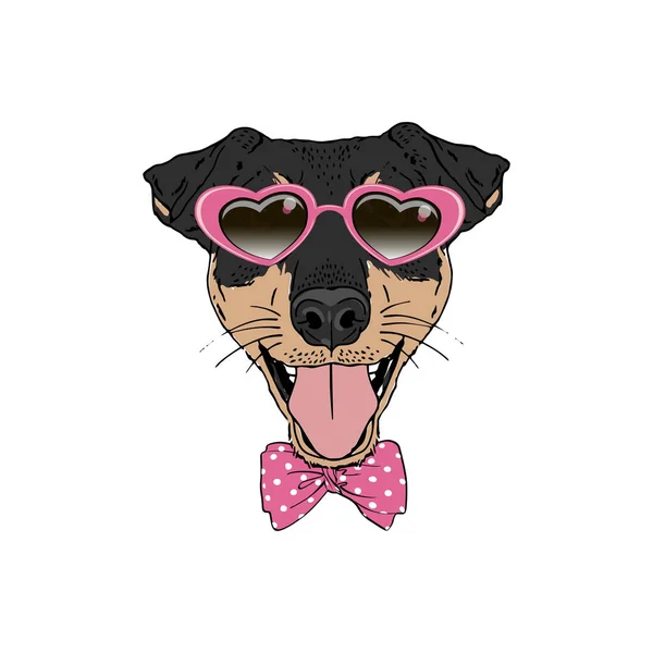 Jagdterrier raza perro usar rosa corazón en forma de gafas de sol, lazo arco aislado sobre fondo blanco — Vector de stock