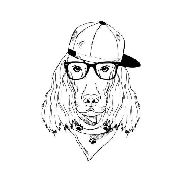 Irlandés Setter raza perro usar gafas, gorra, bandana aislado sobre fondo blanco — Vector de stock