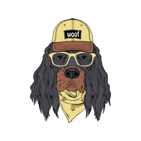 戈登 · 塞特（Gordon Setter）饲养的狗戴着眼镜、帽子、带着白色背景的头巾 — 图库矢量图片