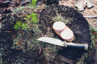 Ormanda yürüyüş tevekse için yapılan av bıçağı ile kütük üzerinde dilimlenmiş haşlanmış sosis ve ekmek Sandviç.