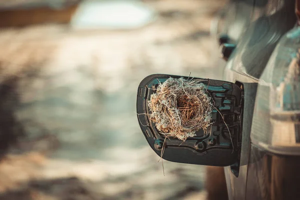 草や枝、車のガソリンタンクキャップの松の針から鳥によって作られたねじれ巣. — ストック写真