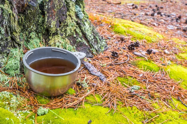 Grande tasse de thermos avec thé noir sur mousse verte près de pin dans la forêt . — Photo