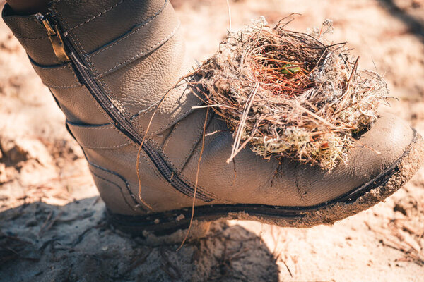 An empty nest made by birds from grass, branches and pine needles on womens shoe.