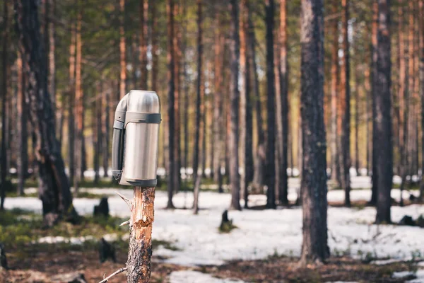 Gesloten Thee Thermos Voor Opwarming Tijdens Wandeltocht Pine Tree Het — Stockfoto