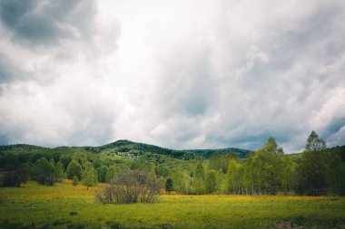 Talan edilmiş yüksek dağlar Tayga 'ya kadar uzanıyor..