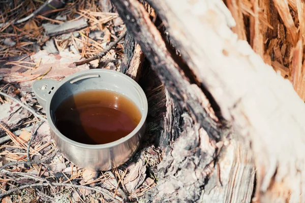 Tasse de thé de thermos avec thé pour se réchauffer lors d'une randonnée pédestre sur le pin dans la forêt. — Photo