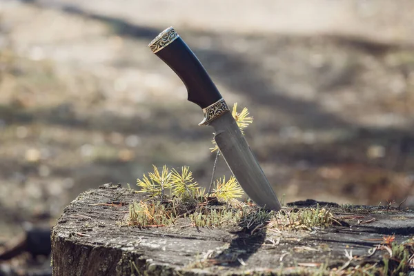 Coltello Alla Natura Attenzione Selettiva — Foto Stock