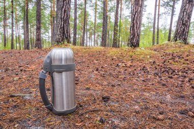 Sıcak çay termosu ormanda çam iğneleriyle yerde duruyor..