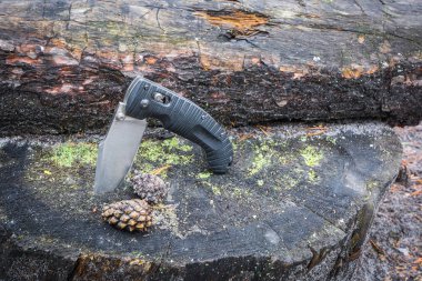 Kara bıçak ormanda çam kozalaklarının yanına saplanmış..