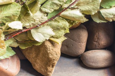 Yeşil huş süpürgesi banyoda bir sobayın taşları üzerinde yatıyor