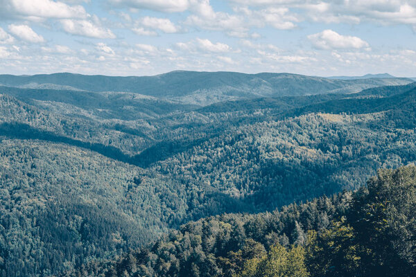 Лес высоких гор простирается вдаль в тайге.