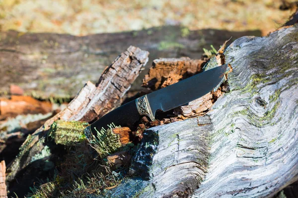 Cuchillo del ejército para la protección del árbol caído en el bosque . — Foto de Stock