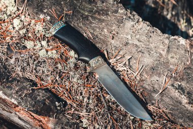 Ormanda devrilen ağaçta korunmak için ordu bıçağı