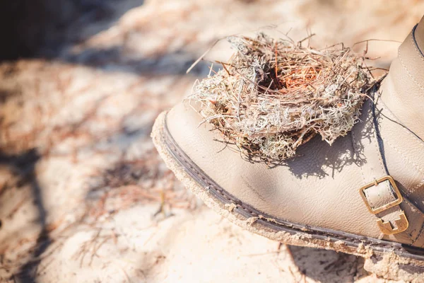 Een Leeg Nest Gemaakt Door Vogels Uit Gras Takken Dennennaalden — Stockfoto