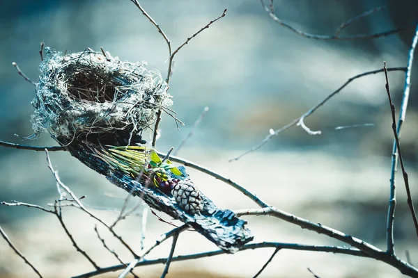 Nido Abandonado Hecho Por Aves Pasto Ramas Agujas Pino Ramas —  Fotos de Stock